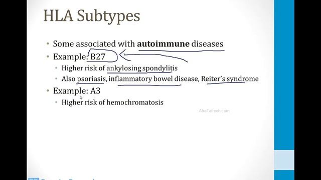 Иммунология USMLE - 2. Клиническая иммунология - 2.Трансплантация