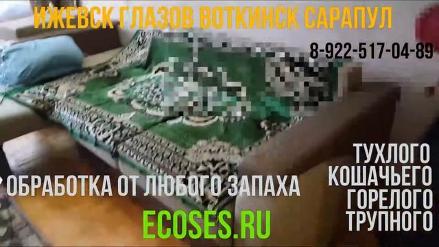 Обработка от трупного, кошачьего, тухлого, горелого и других запахов. смотреть онлайн