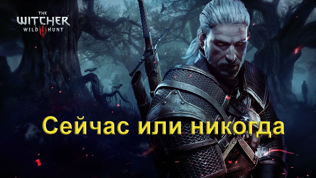 Сейчас или никогда. The Witcher 3 Wild Hunt.