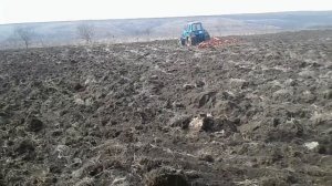 Культивация 2019!! трактором мтз82 культиватором кпс 4