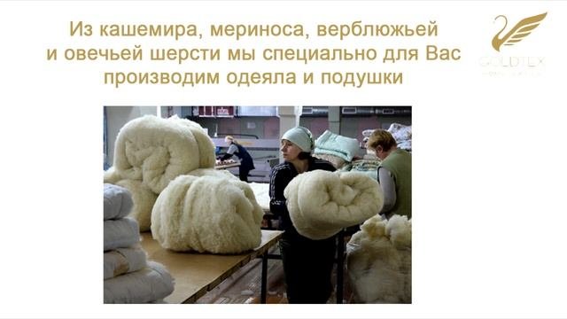 Что такое шерсть