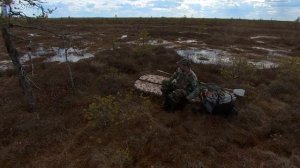 Пешком по болоту
