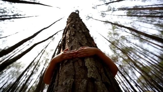 Энергетическая ценность лжи. Часть 2 (Сказка- ложь, да в ней намёк...) смотреть онлайн