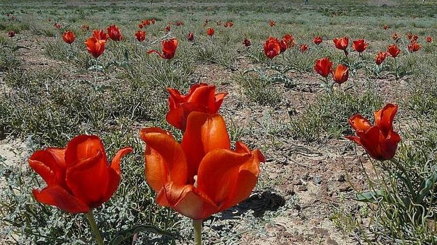 Военные рассказы смотреть онлайн