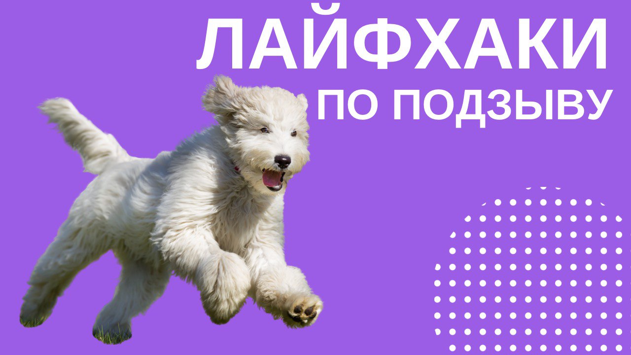 Лайфхаки на подзыв
