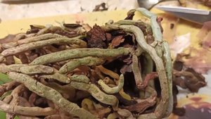 Пересадила орхидею в кору со мхом/I transplanted the orchid into pine bark and sphagnum moss