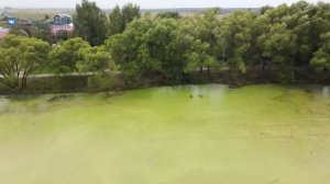 Очистка пруда в Орудьево