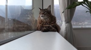 Финансы, кризис, иммиграция. Аксель Франк, ответы.