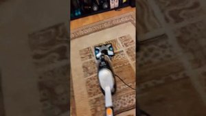 TEFAL CLEAN&STEAM ЧИСТКА КОВРА.