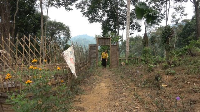 100 Days building free farm: Take care of growing vegetable garden, fish pond, pig herd смотреть онлайн