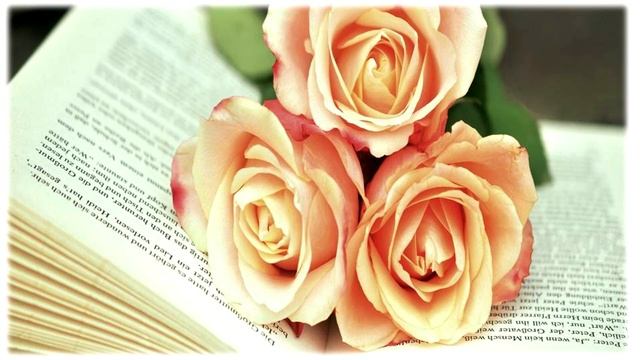 О ветераене библиотечного дела Гайнуллиной Р Т , видеоролик, ЦГБ им Н Островского, октябрь, 2 смотреть онлайн