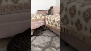 Мать один, отцы разные! Родные братья!