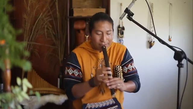 MUSICA ANDINA TRADICIONAL  INSTRUMENTAL MUSIC FROM THE ANDES  FLUTE MUSIC QUENA ZAMPOA PANFLUTE