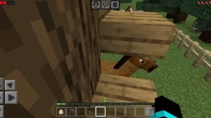 моя новая карта 
(акт1)