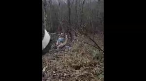 При взятии в плен сразу стала беременной
