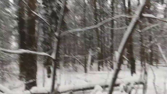 Наши санки Ника: чем проще, тем лучше 7 декабря 2021 г. смотреть онлайн