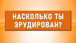 Викторина на эрудицию и кругозор. Проверь свои знания