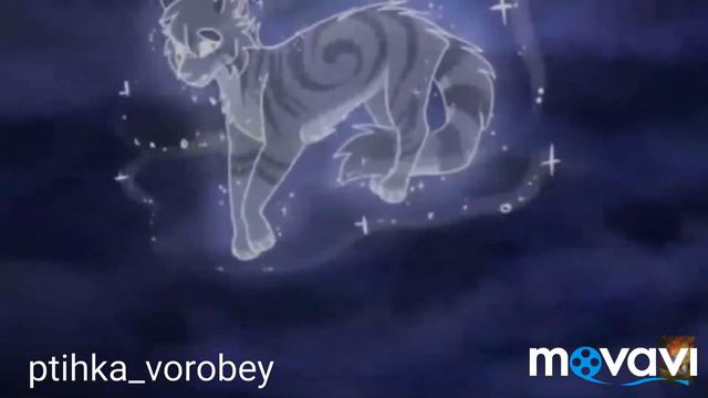 Коты Воители Белогривка и Синяя Звезда ~Вдох~ смотреть онлайн