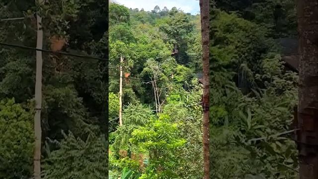 Полет гиббона | Мир ханумана | Hanuman world | Пхукет | Таиланд | Затерянные в путешествии смотреть онлайн