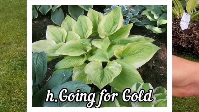 Покупка и распаковка хост из Европы смотреть онлайн