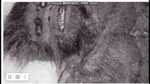 Йети или Снежный человек найдены самые старые фотографии.