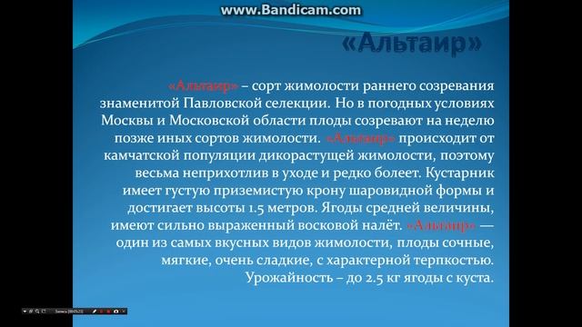 Сорта жимолости (лесной ягоды) на Вашем дачном участке смотреть онлайн