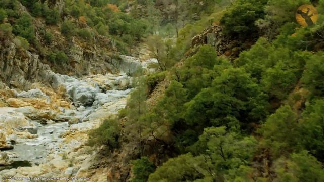 Saxophone 2023 | Best Saxophone Cover Popular Songs(Soft Saxophone Instrumental ~ Oldies Collection смотреть онлайн