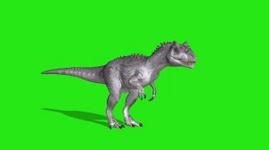Танцы футажи на зелёном фоне (Green screen dance) ?