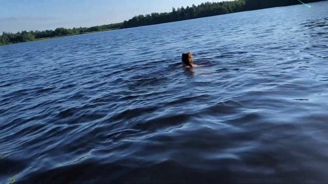 Отдых с палаткой. Пустынские озера. Нижегородская область