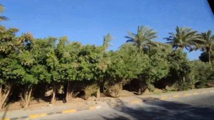 🚌 Едем от Аэропорта Хургада в отель Ламбранда/Labranda Royal Makadi