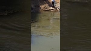 Ловля сазана. Краснодарский край