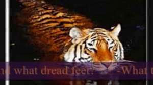 The Tiger by William Blake