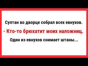 Во дворце кто-то брюхатит моих наложниц. Сборник Свежих Анекдотов! Юмор! Ржака!
