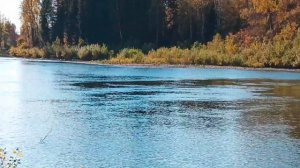 На Тайдон за Хариусом