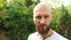 Лапландский таракан — безвредный уличный «прусак»