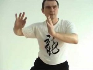 Вращение нижнего даньтяня.  Тайцзицюань стиль Чень