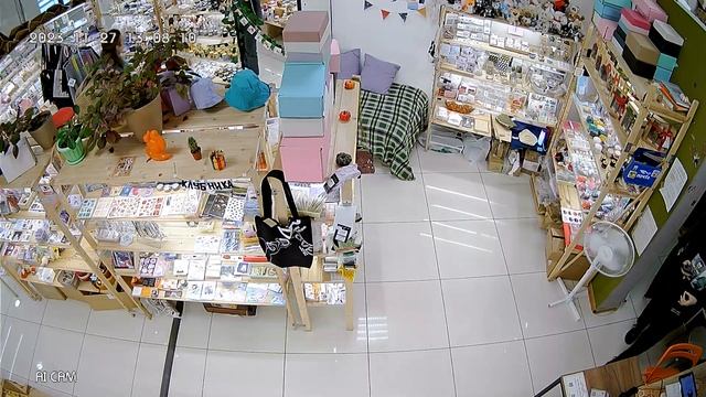 Купольная внутренняя Видеокамера Optimus IP-E022.1(2.8)E_V.3 смотреть онлайн