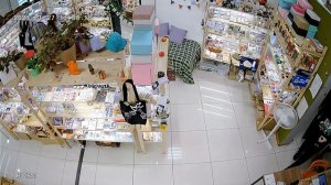 Купольная внутренняя Видеокамера Optimus IP-E022.1(2.8)E_V.3