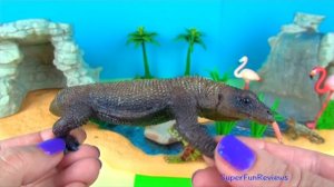 Kids Toys Komodo Dragon Chameleon Frill-necked Learn about LIZARDS in English Lagartos