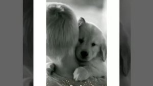 Очень душевная песня про друзей -Мои друзья!!!!