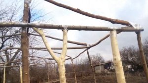 Самая дешевая теплица 6х4 своими руками | Теплица из клена, скотча и стрейч пленки