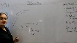 Photosynthesis | Lec 13 Rubisco reaction | Warburg effect  | Compensation points | Csir-net |