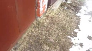 Высолы соли на кирпиче, камне и бетоне