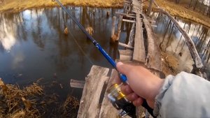 Спиннинг в марте. Щука пошла на нерест