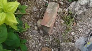 Брат спит я но даче