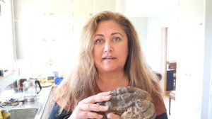 Making Medicine with Pākaiahi | Ganoderma applanatum | Indigenous Plant Medicine |Rongoā Mauri