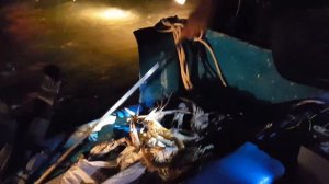 Охота на крабов в эмиратах