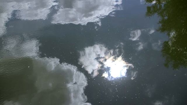 Отражения в воде смотреть онлайн