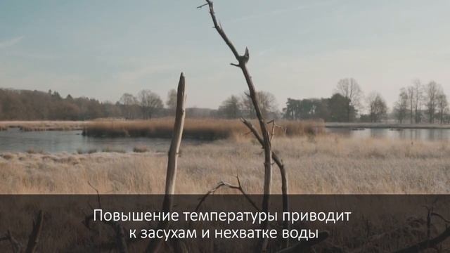 Экологическая среда - зной смотреть онлайн