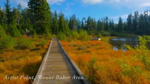 Саламун саламун